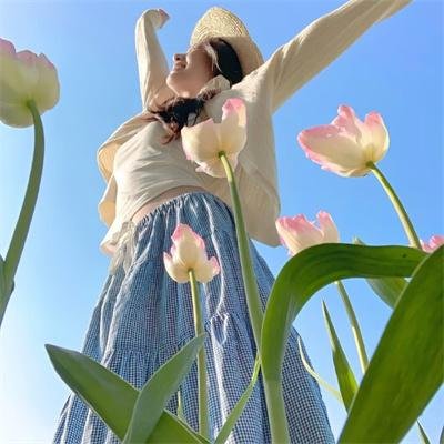 好人、巴特和洛基